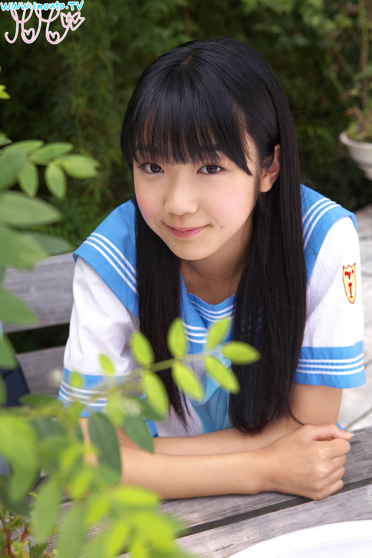 shimacolle_shiina_m01_001.jpg