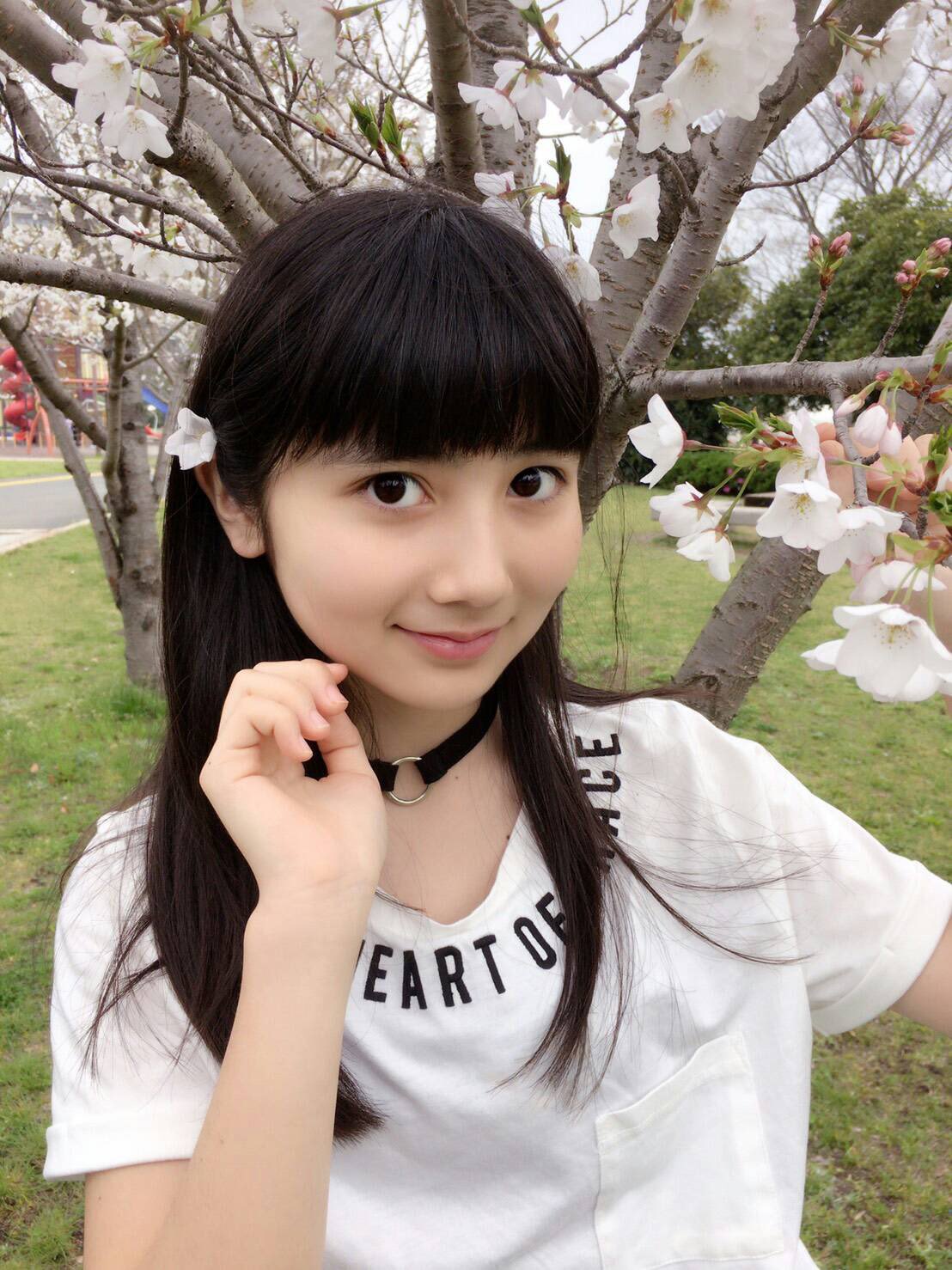 2017-04-19 20-46-14 kokonyan1219 854677519223541760-1.jpg